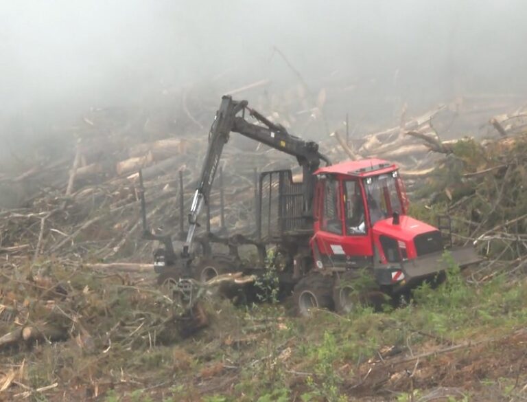 Tenerife reconvierte el material quemado en astillas para el campo