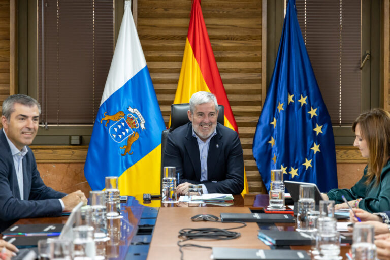 El Gobierno canario solicita incluir la inmigración en la Conferencia de Presidentes de Barcelona