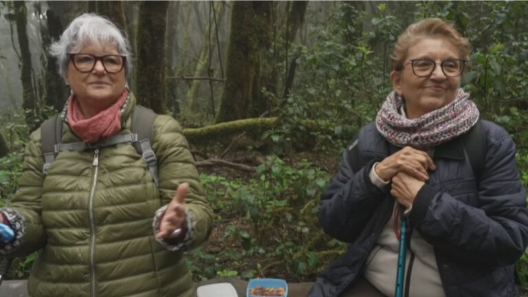 ‘Noveleros’ recorre este martes los bosques y senderos de Canarias