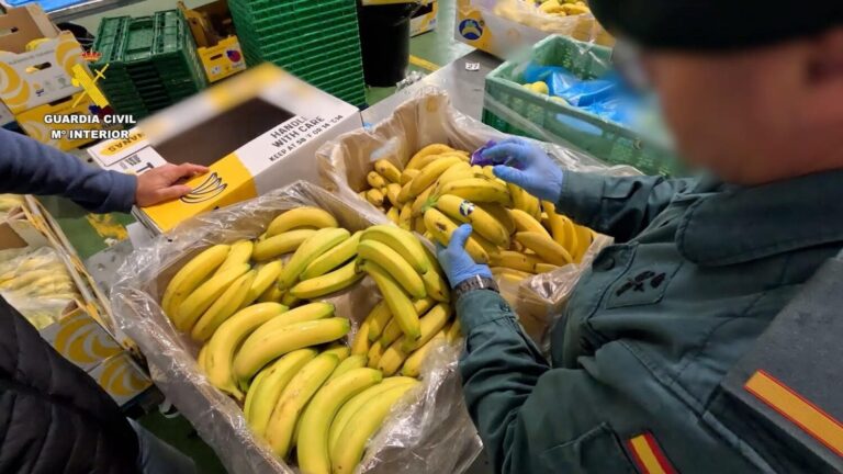 Investigan a una empresa por vender banana como Plátano de Canarias