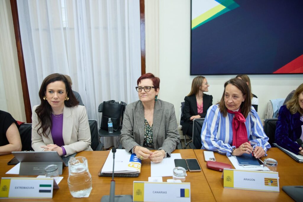 Candelaria Delgado durante la Conferencia Sectorial de la Infancia/ Gobierno de Canarias.