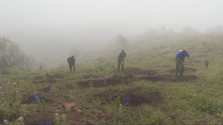 Reforestación en Monte Pavón, en Guía, el Día Internacional de la Biodiversidad