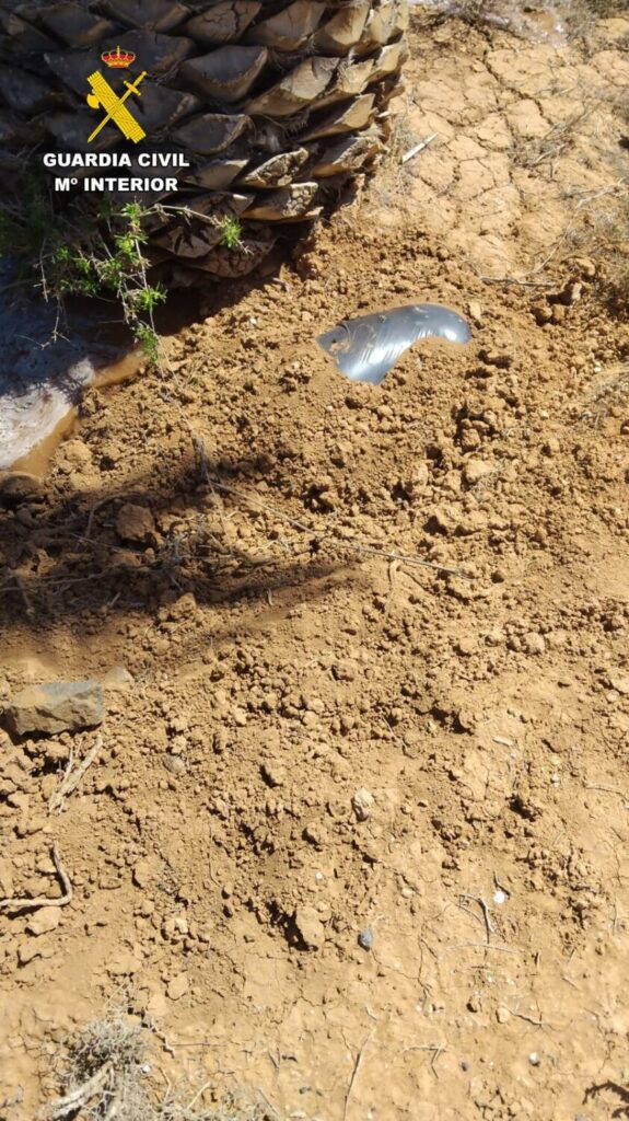 Identifican a la dueña de un perro semienterrado en la vía pública.