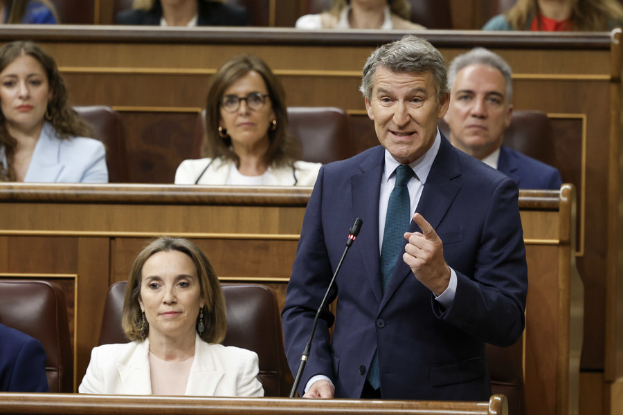 El líder del PP, Alberto Núñez Feijóo, durante su intervención en la sesión de control al Gobierno este miércoles, 21 de mayo, en el Congreso. EFE/Mariscal