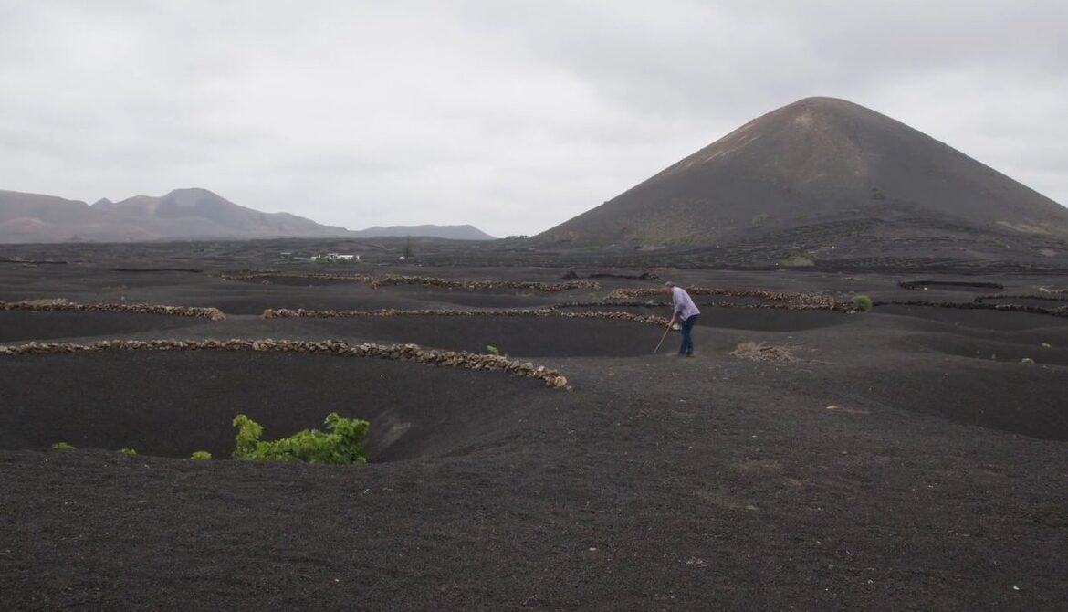 Fotograma del documental / Imagen de La Geria, Lanzarote