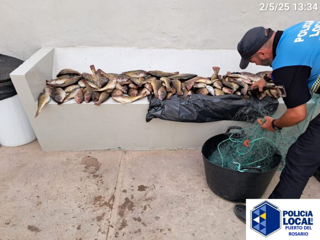 La Policía Local de Puerto del Rosario interviene en un caso de pesca ilegal en Puerto Lajas