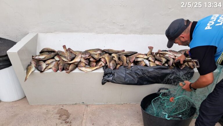 La Policía Local de Puerto del Rosario interviene en un caso de pesca ilegal en Puerto Lajas