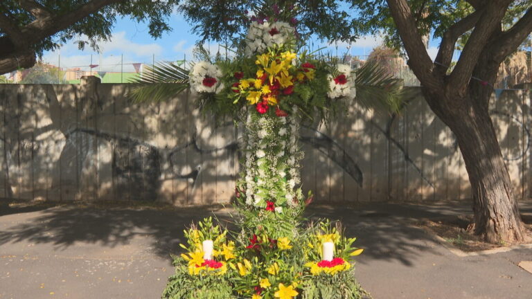 Ernesto José Llebry Rodríguez gana el Concurso de Cruces de Flores Naturales