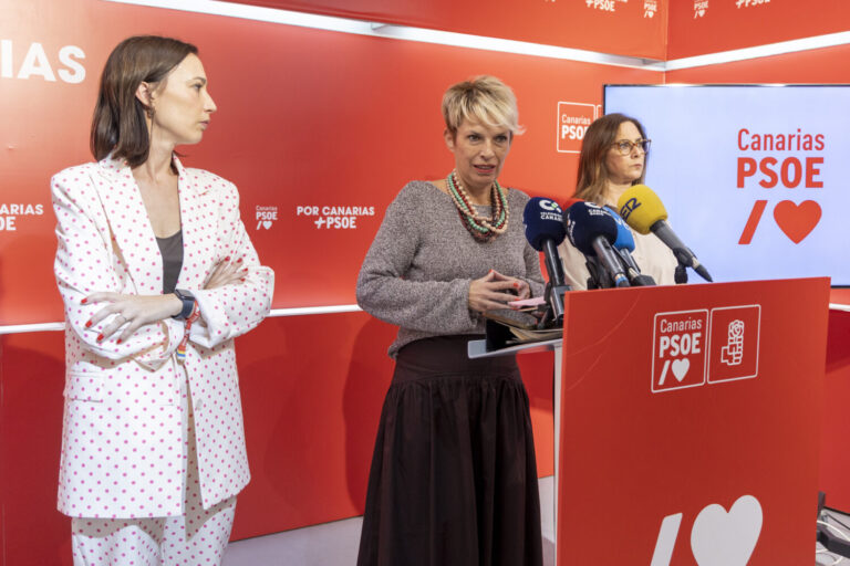 El PSOE acusa a Delgado de falsear la cifra de prestaciones concedidas en dependencia