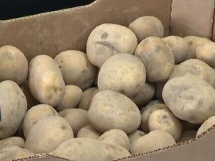 Campaña de boicot a la papa de Israel: «Con mojo sí, con sangre no»