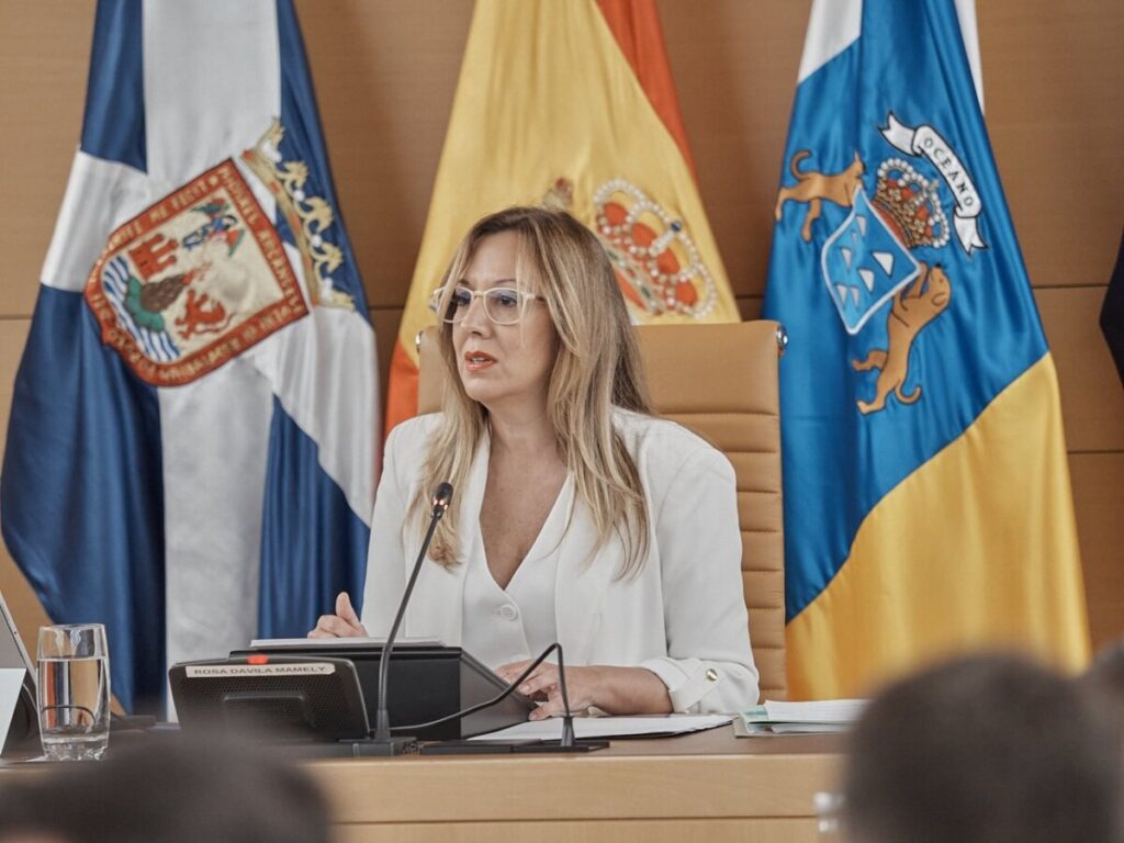 Rosa Dávila, presidenta del Cabildo de Tenerife. Imagen cedida por el Cabildo de Tenerife