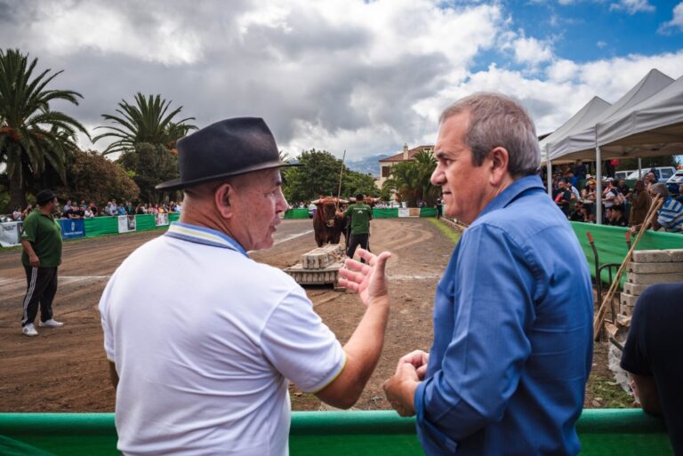 Tenerife destina 80.000 euros a subvencionar la adquisición de novillas de raza bovina