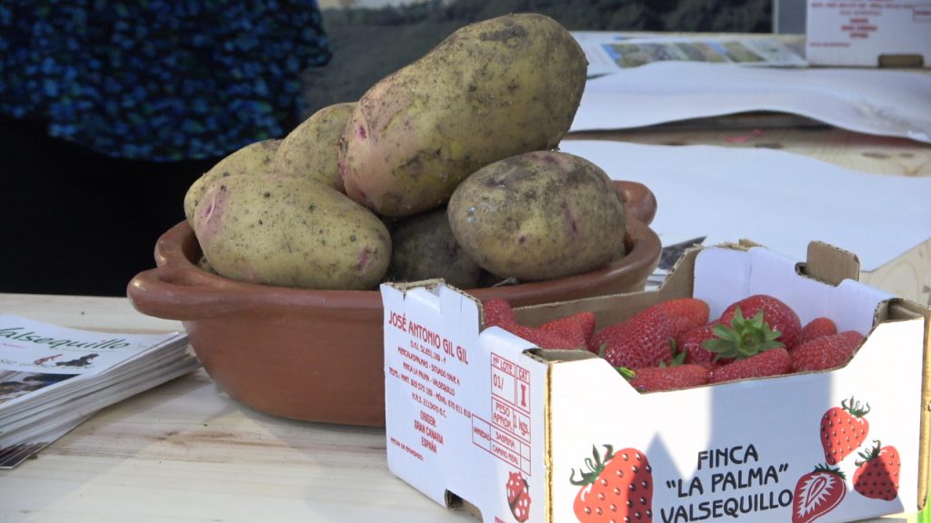 El municipio de Valsequillo ha puesto en valor sus productos locales, con la fresa, la papa y el millo como protagonistas