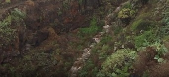 El barranco de Garafía sufrió graves daños medioambientales a causa de los vertidos que dejó al descubierto y arrastró el agua de las lluvias torrenciales del pasado mes de diciembre.