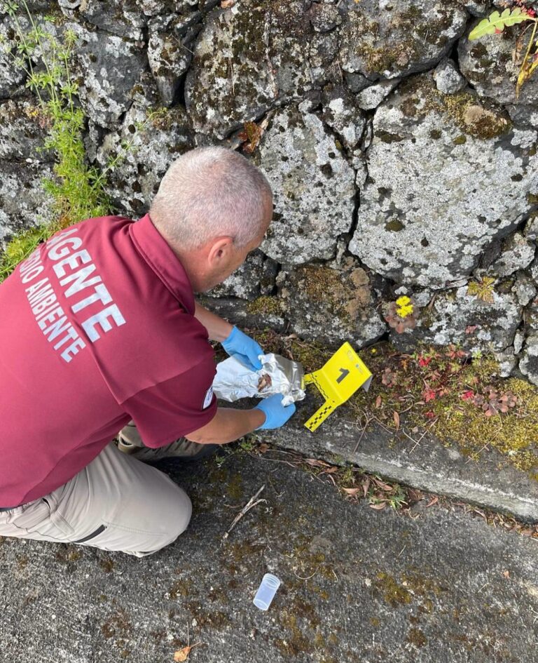 Encuentran cebos envenenados en el municipio herreño de La Frontera