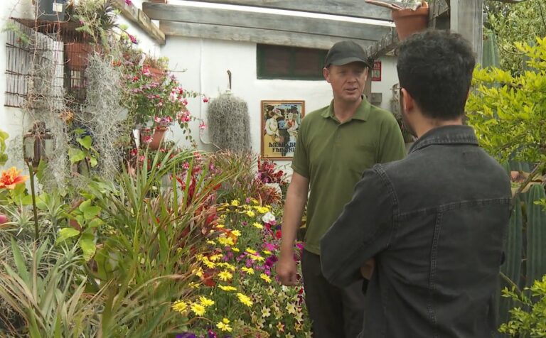 El «Chico de los Balcones» de Santa Cruz de La Palma sufre un robo en su casa