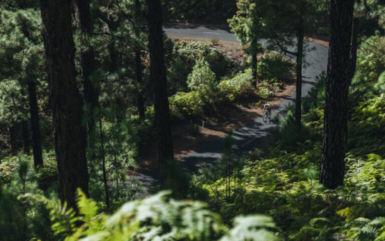 Un ciclista irá de Huelva a Madrid para recaudar fondos para la reforestación de bosques canarios