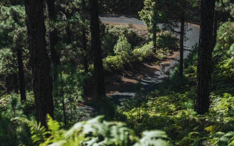 Un ciclista irá de Huelva a Madrid para recaudar fondos para la reforestación de bosques canarios