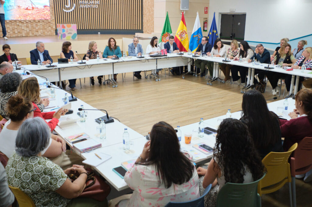 Comisión de Discapacidad del Parlamento de Canarias en Fuerteventura. Imagen cedida por el Cabildo de Fuerteventura