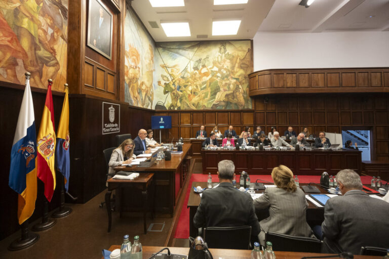 El Pleno del Cabildo de Gran Canaria pide al Gobierno crear un impuesto a las estancias turísticas en el Debate Insular