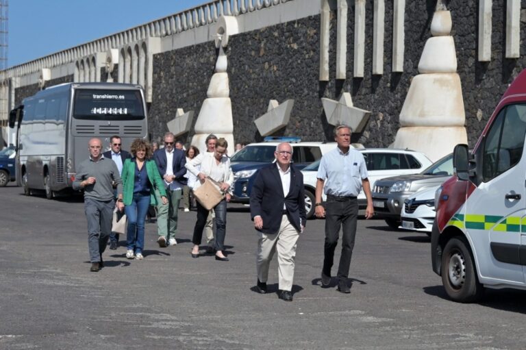 Una delegación de eurodiputados, testigos de la situación migratoria en La Restinga, El Hierro