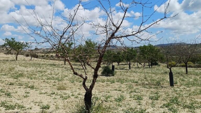 España ha agotado este viernes todos los recursos naturales disponibles para este año