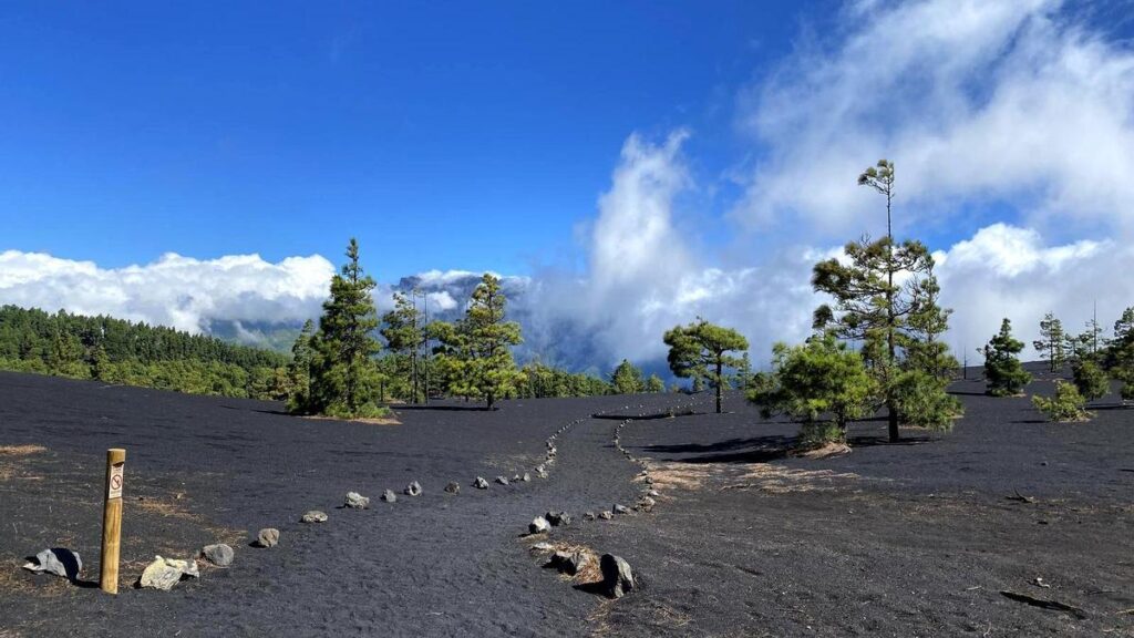 Los ecologistas denuncian que la propuesta legislativa “disminuye el control ambiental y amplía la discrecionalidad administrativa"