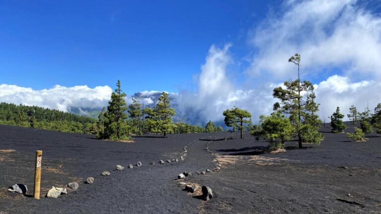 Ecologistas presentan alegaciones contra la actualización de la Ley del Suelo