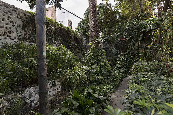 El Huerto de las Flores, en Agaete, reabrirá sus puertas en noviembre