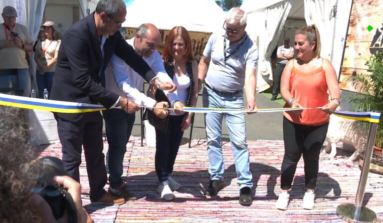 El Hierro celebra la Apañada, su feria más importarte del sector primario