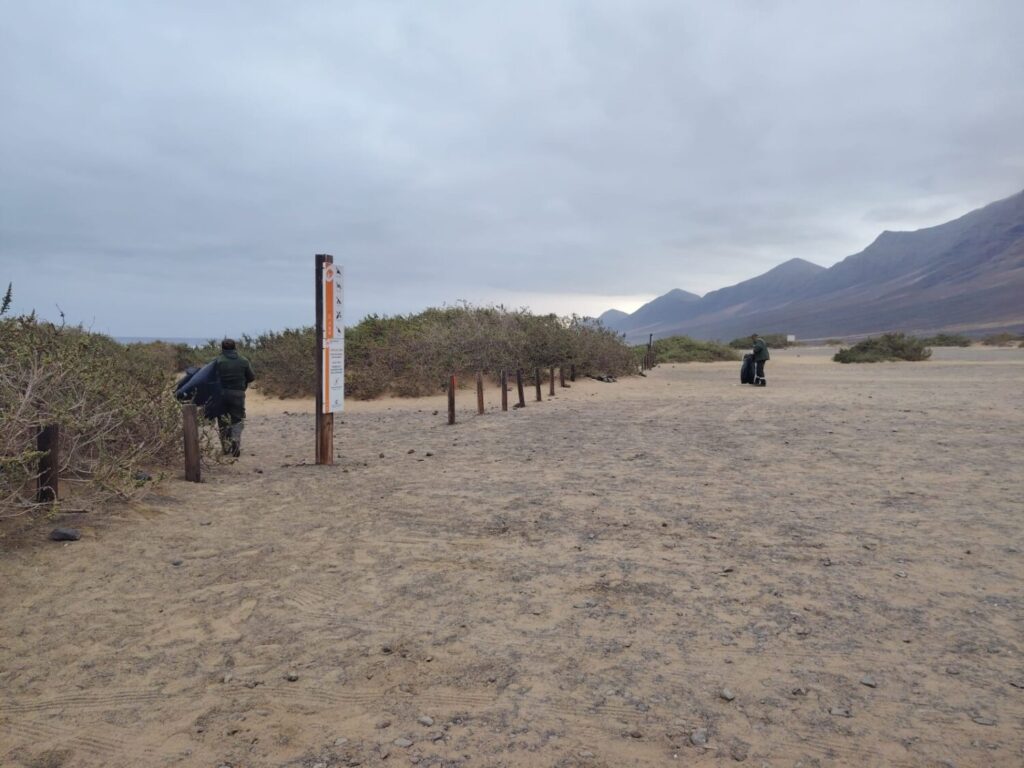 El Cabildo de Fuerteventura inicia una campaña de limpieza en Cofete