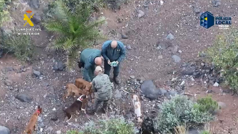 Intensifican la vigilancia contra el abandono de perros de caza en Telde
