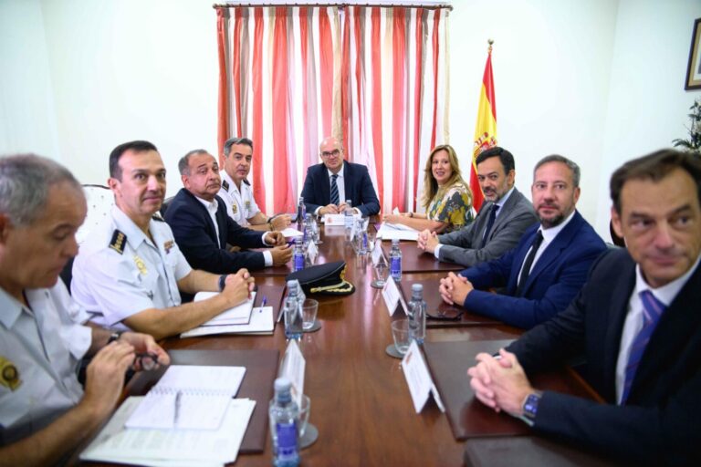 Reunión entre Cabildo, Aena, Policía Nacional y Delegación del Gobierno para mejorar la gestión en Tenerife Sur