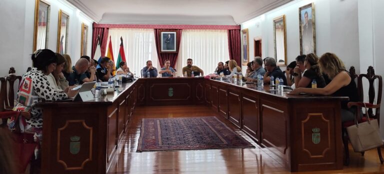 Arona impulsa un plan conjunto contra los asentamientos ilegales