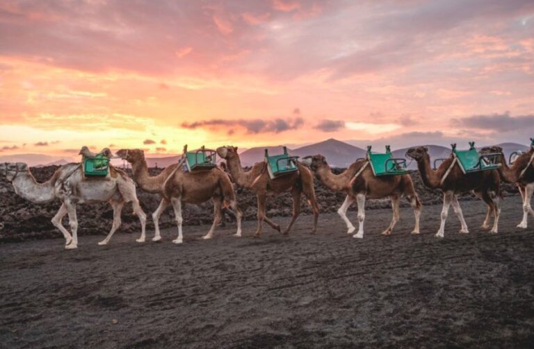 El Gobierno advierte a Lanzarote de que ordenar el acceso a Timanfaya es inaplazable