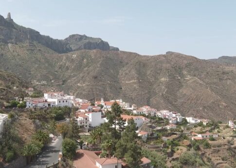 Investigado por abandono animal el dueño de un perro que murió en estado crítico en Tejeda