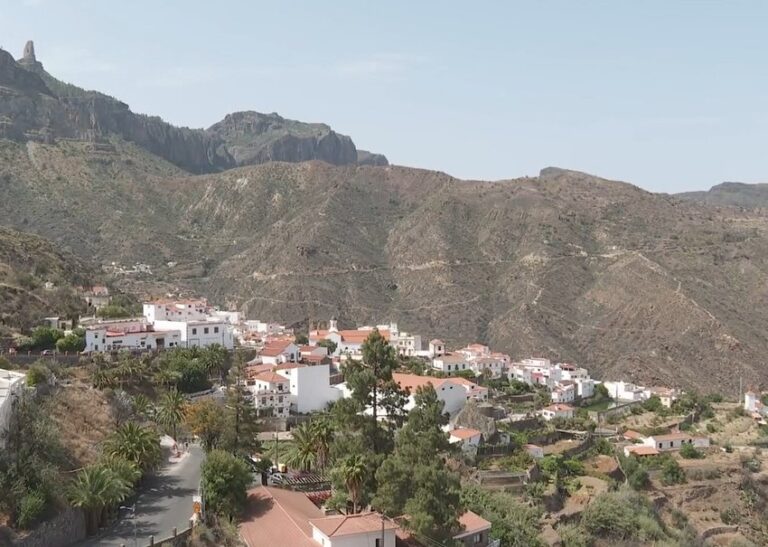 Investigado por abandono animal el dueño de un perro que murió en estado crítico en Tejeda