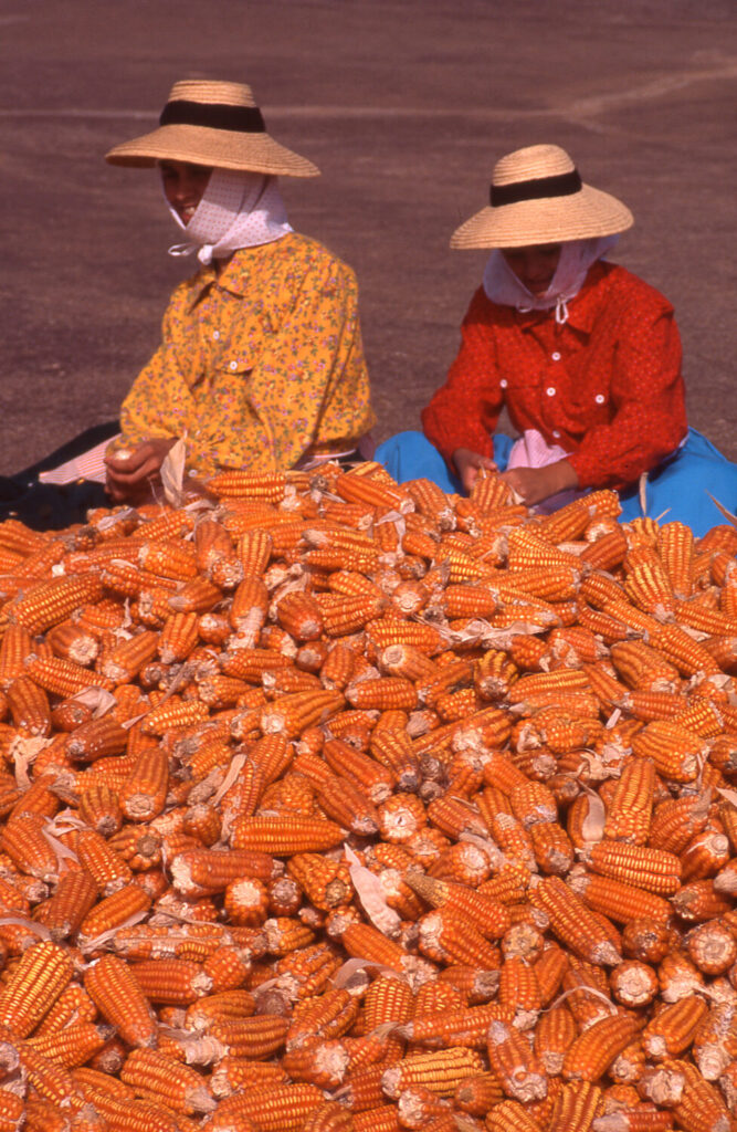 Imagen incluida en la campaña para digitalizar imágenes privadas antiguas del campo de Lanzarote