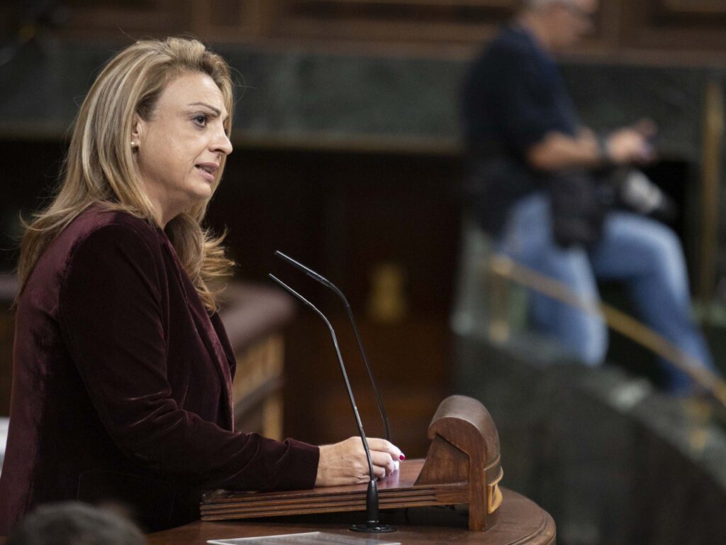 La diputada nacionalista, Cristina Valido, en el pleno del Congreso de los Diputados. Imagen Coalición Canaria