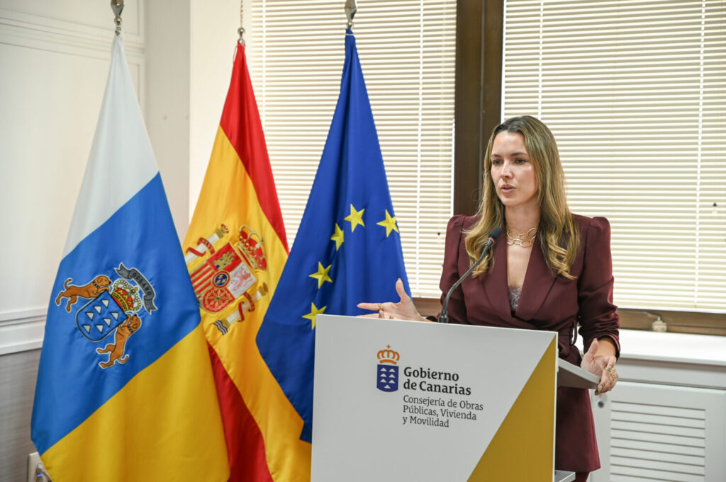 Plan para renovar el parque móvil de las islas. Imagen: María Fernández, directora general de Transportes. Gobierno de Canarias