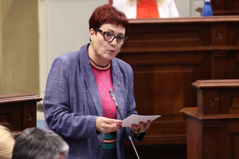 Delgado defiende que los proyectos del Pacto Contra la Violencia de Género siguen en marcha