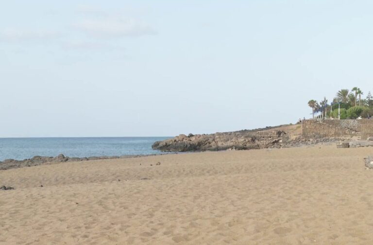 Teguise aprueba la creación de una zona para perros en Playa Bastián