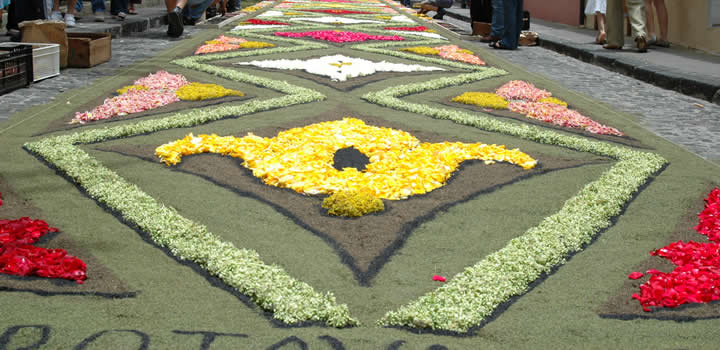 Alfombras de la Orotava. Ayuntamiento Villa de la Orotava