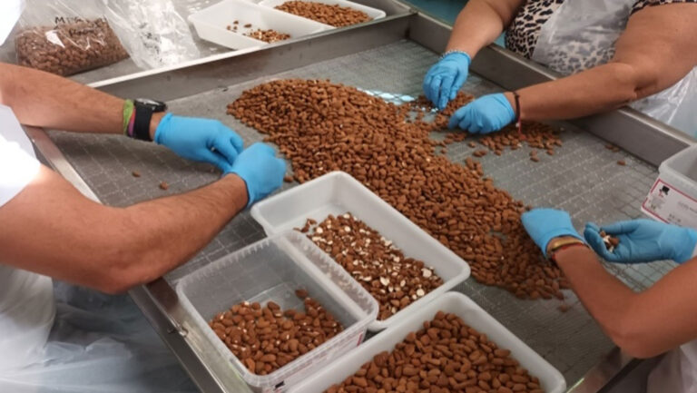 'Almendra bonita'. Imagen Agroforestales de La Palma"