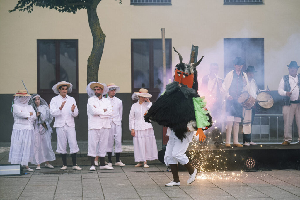 Encuentro de Libreas celebrado este sábado en La Laguna (Tenerife) / Ayuntamiento de La Laguna