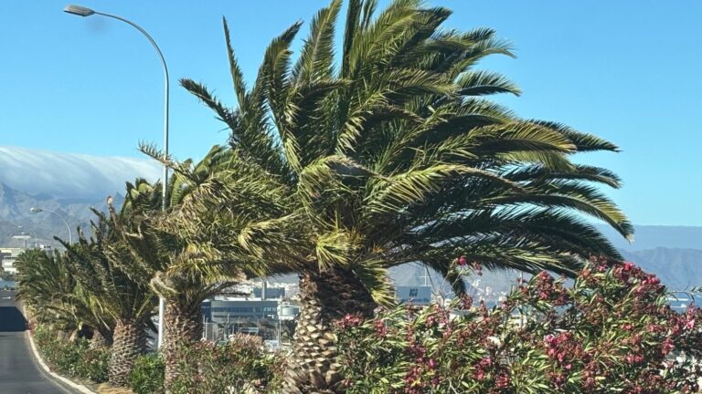 Prealerta por viento en todas las islas