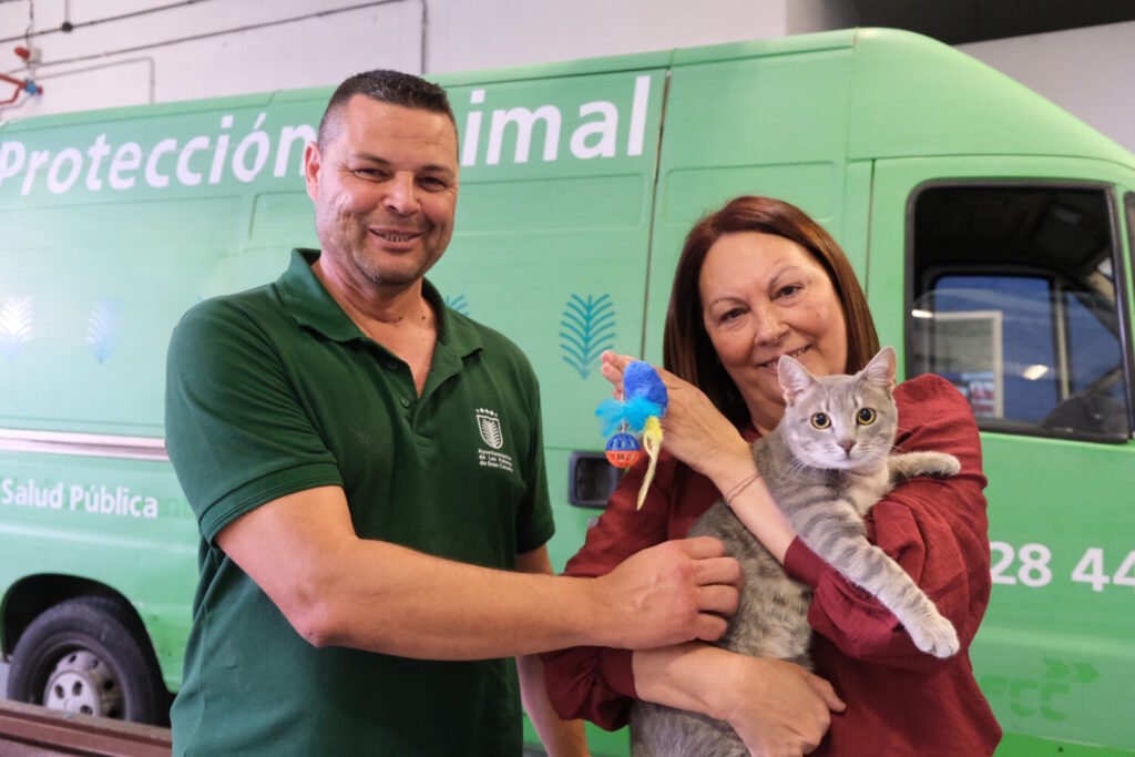 Las Palmas de Gran Canaria adjudica el servicio de guardería para perros y gatos