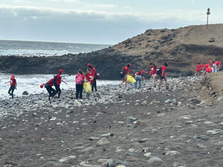 Una limpieza de la playa teldense de Bocabarranco consigue recoger 165 kilos de residuos