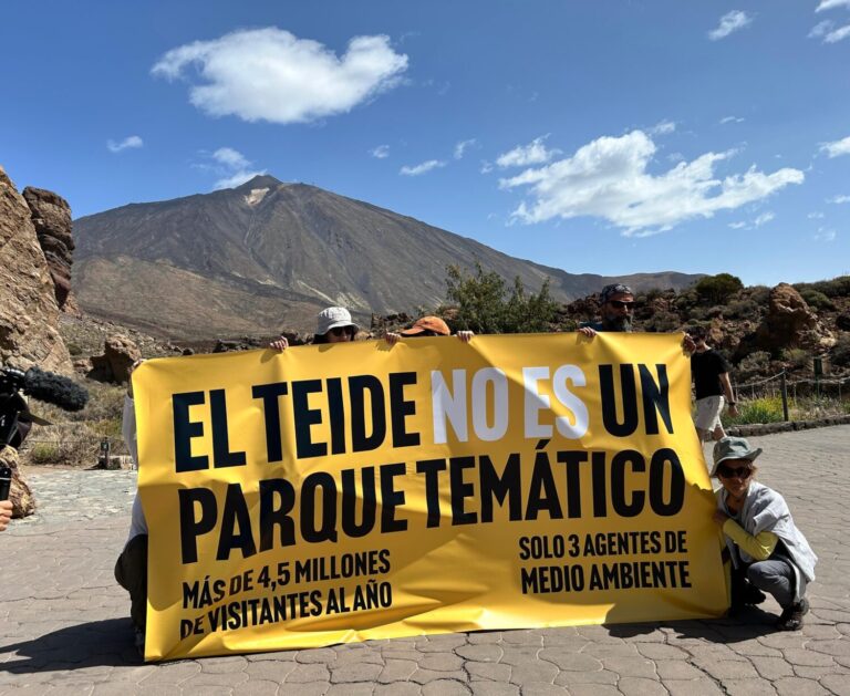Un grupo de personas protesta en el Teide a pesar de haberse aplazado la manifestación de este sábado