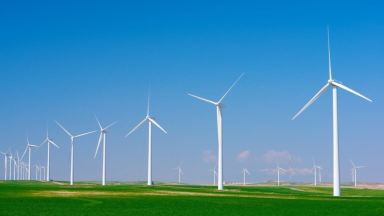 El Gobierno concede 296 millones a 33 proyectos renovables, dos de ellos en Canarias